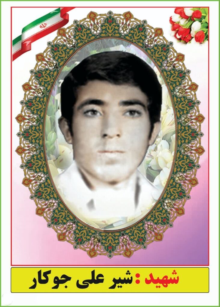 شیرعلی جوکار- شهر نوجین