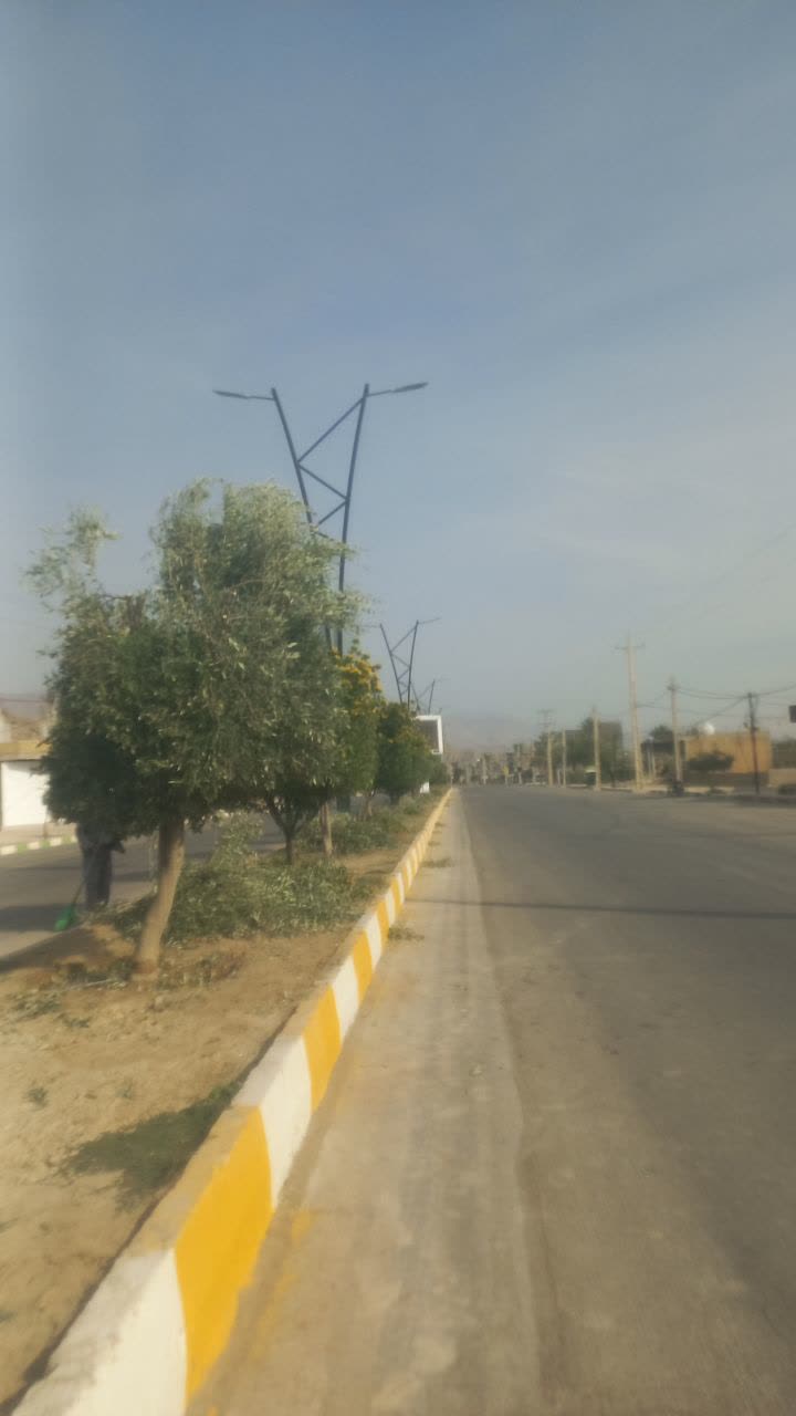 تزئین وهرس کردن درختان بلوار